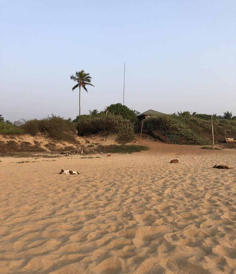 Peravel Beach Holiday Home Candolim Esterno foto